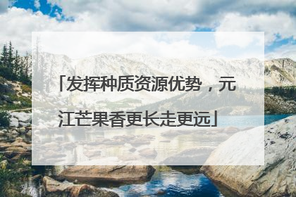 发挥种质资源优势，元江芒果香更长走更远